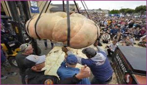 Pumpkin weighing 2,749 pounds wins contest and sets world record for biggest gourd