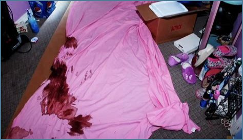 Unraveling The Mystery: Gypsy Rose Blanchard Murder Scene Photos