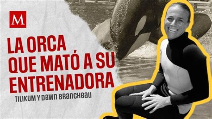 Dawn Brancheau - TIME