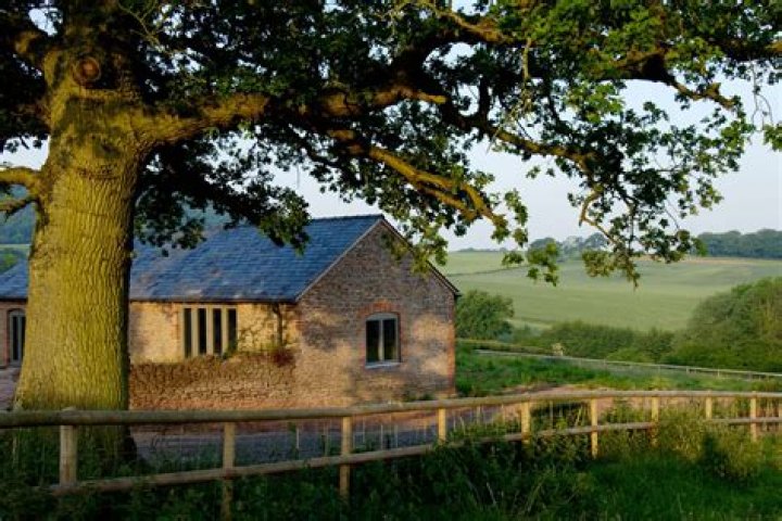 Everything you need to know about the royal