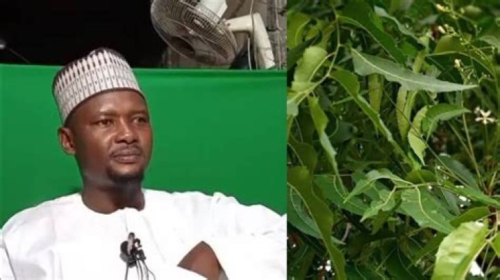 Illoli da alfanun shan maganin takaita haihuwa da kiyayyar daukar ciki