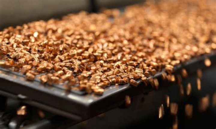 Is Bulk Ammunition Shop Legit {Aug 2022} Check The Details Here!