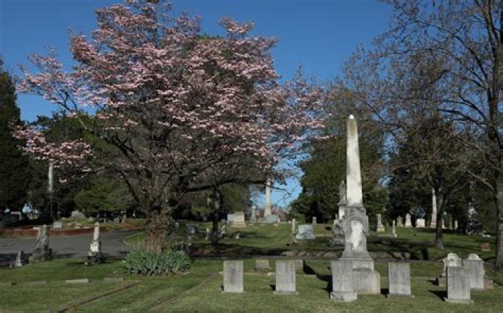 JoeDance Rock the Cemetery Film Festival at Historic Elmwood Pinewood Cemetery