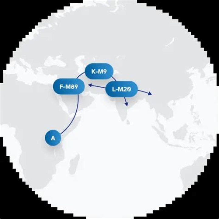 Last name NAIR: origin and meaning